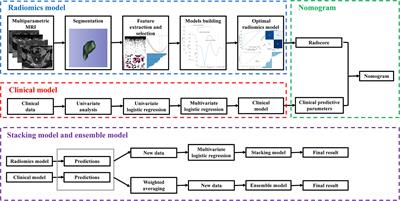 Different multiparametric MRI-based radiomics models for differentiating stage IA endometrial cancer from benign endometrial lesions: A multicenter study